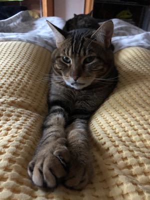 Max