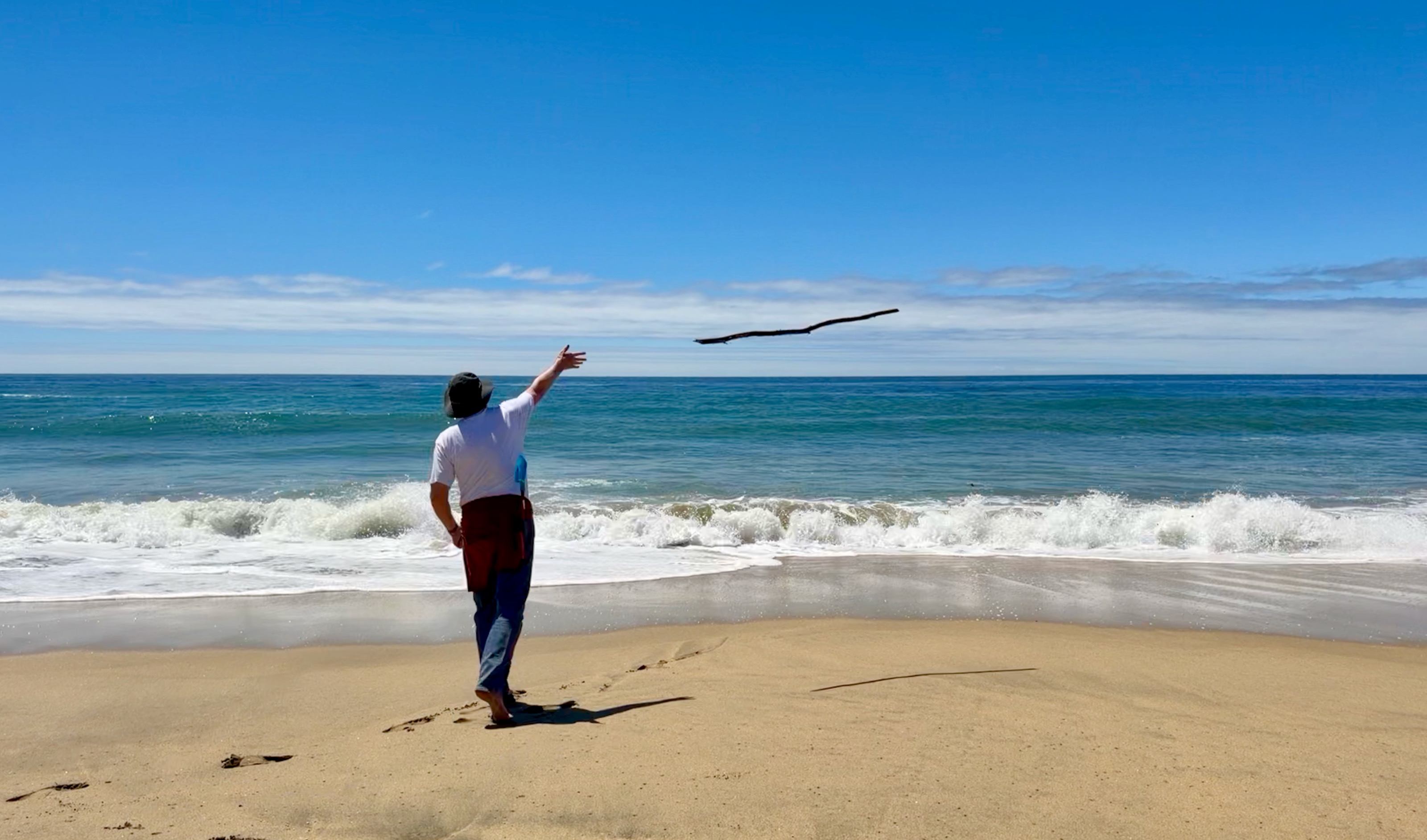 Another day, another throw/Montara State Beach, 8150 Cabrillo Hwy, Montara, CA 94037, USA