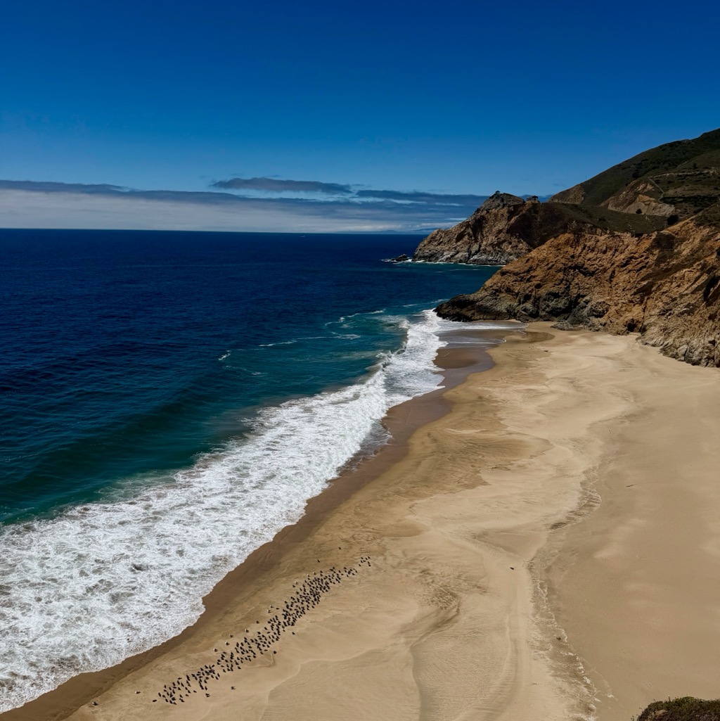 
		    5965 Cabrillo Hwy, Half Moon Bay, CA 94019, USA