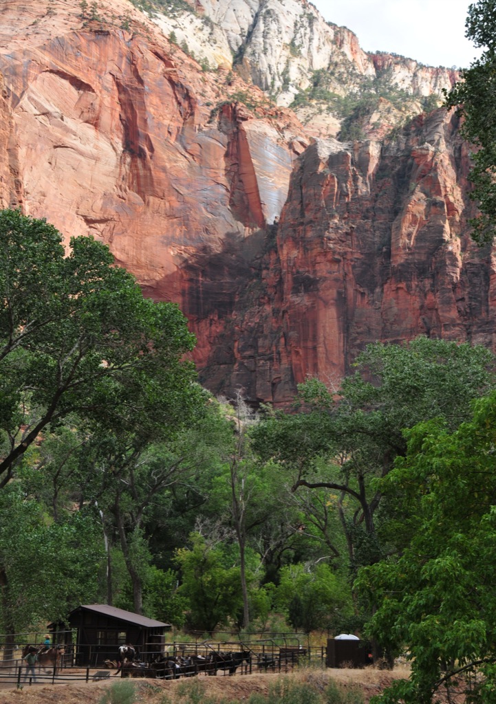 A horse ranch in Zion/