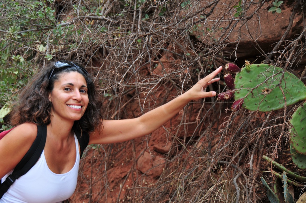 Assana can't resist the pricklies/