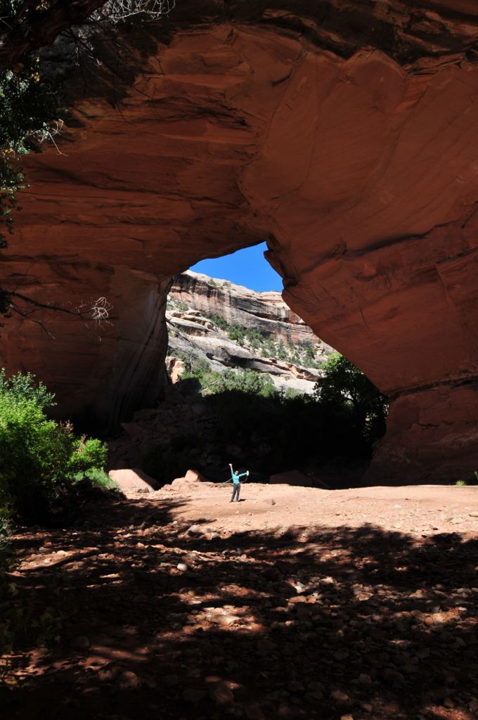 Petroglyph-my-ass bridge/