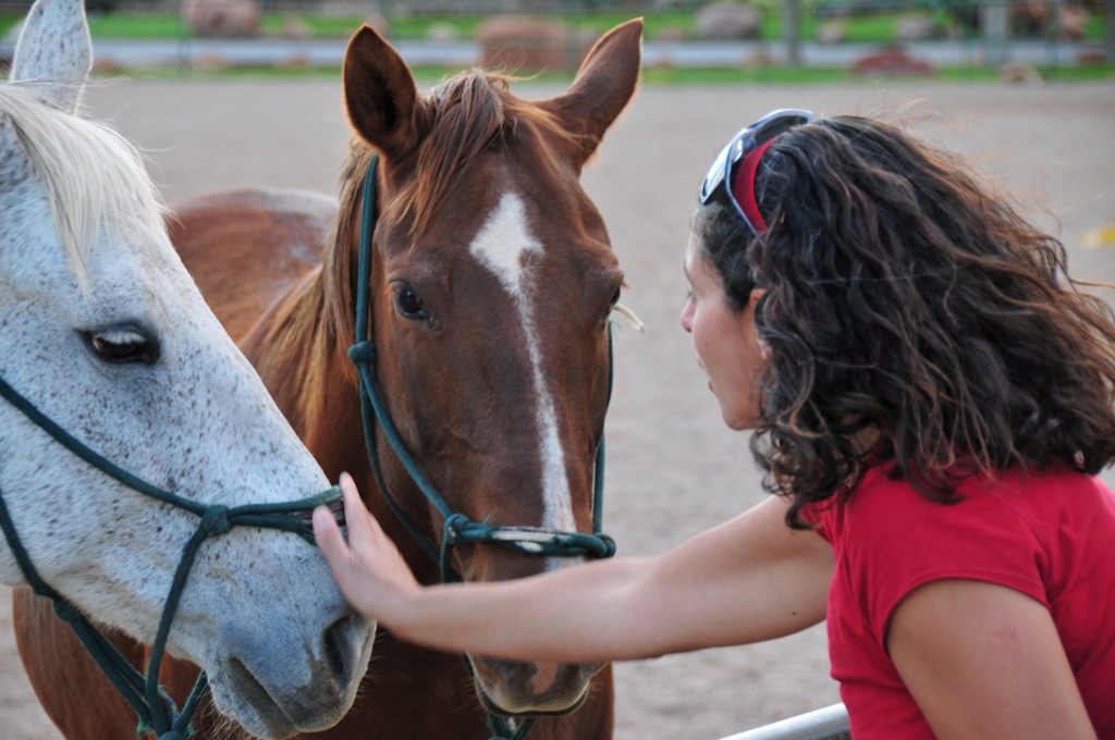 Assana always finds friends/