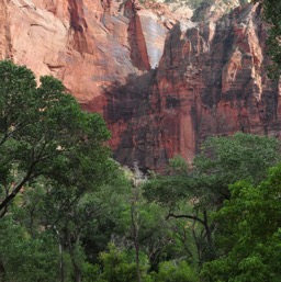 A horse ranch in Zion/
		    