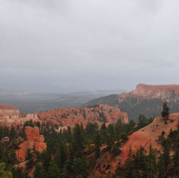 Majestic Bryce Canyon/
		    