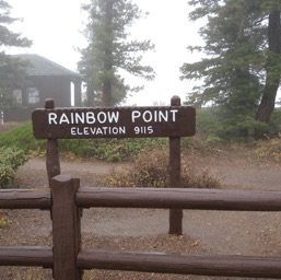 RainSnow Point.../
		    