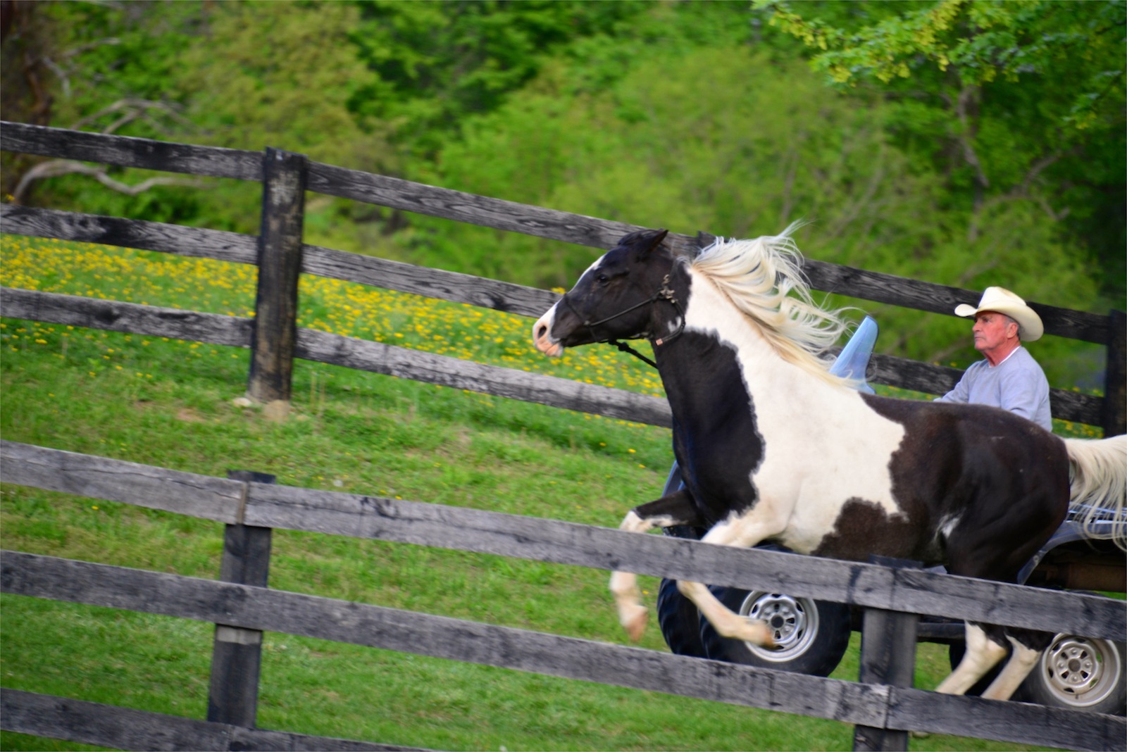 Whatever! Let's go running!/