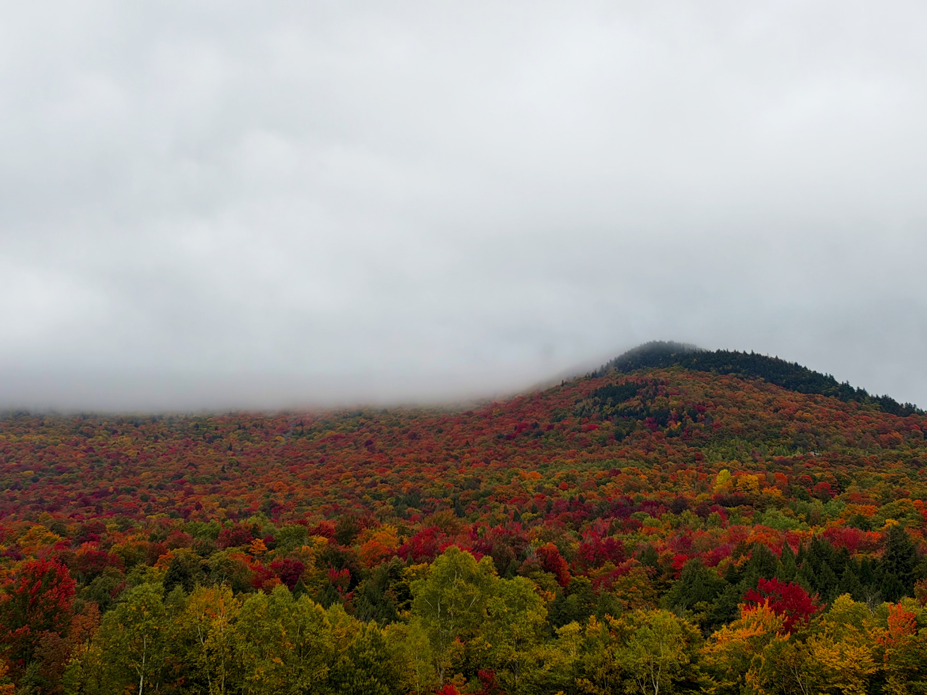 Just off some random road/5880 Mountain Rd, Stowe, VT 05672, USA