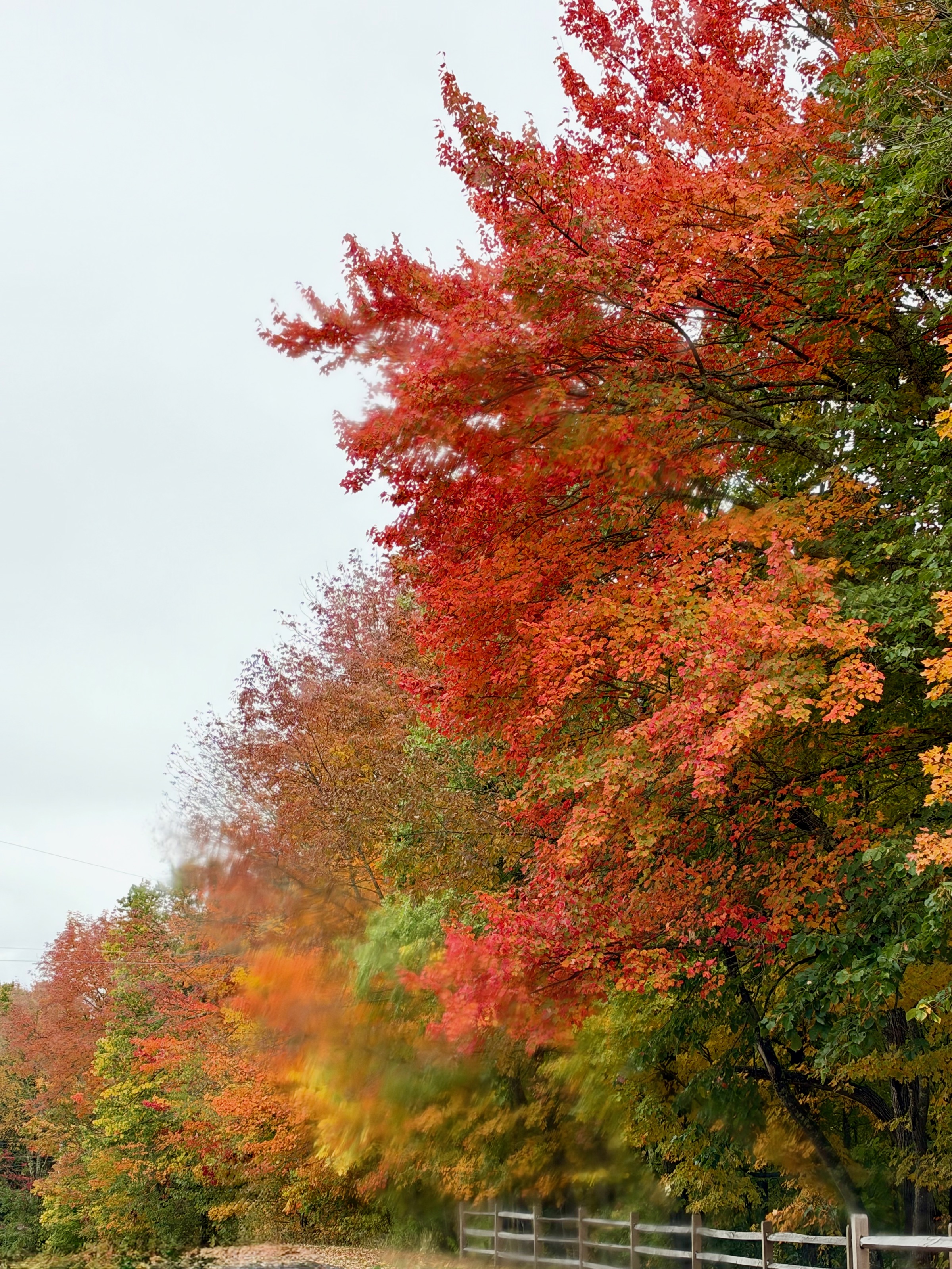 637 Barnes Hill Rd, Waterbury Center, VT 05677, USA