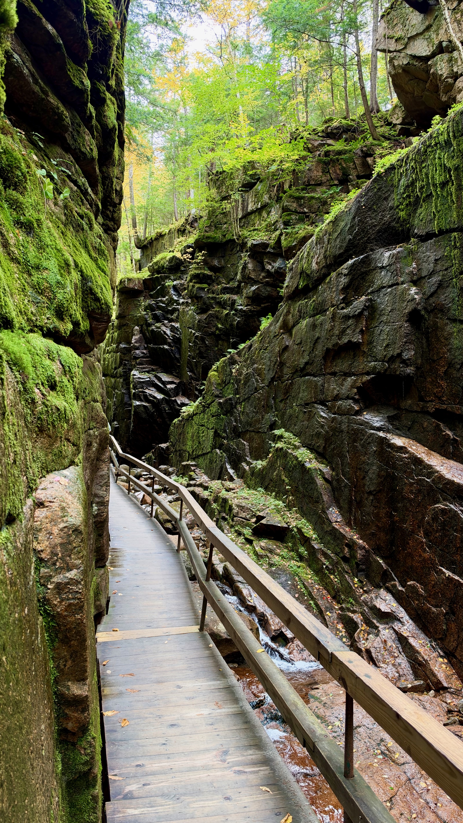 Avalanche Falls, Flume Gorge Visitor Center, 852 Daniel Webster Hwy, Lincoln, NH 03251, USA