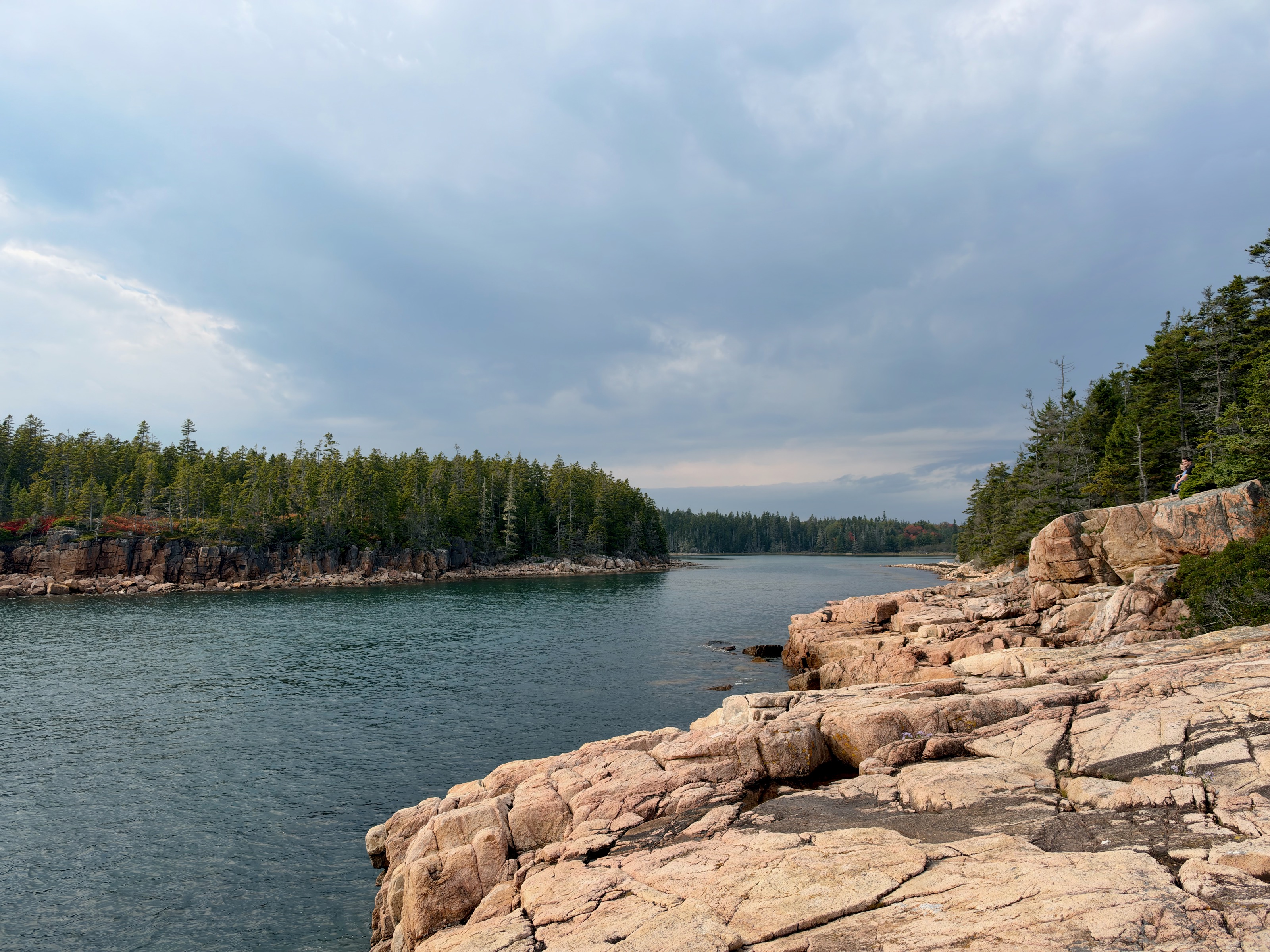 Ship Harbor Trail, Acadia NP/