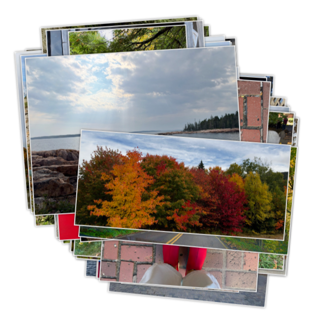 New England & Acadia National Park