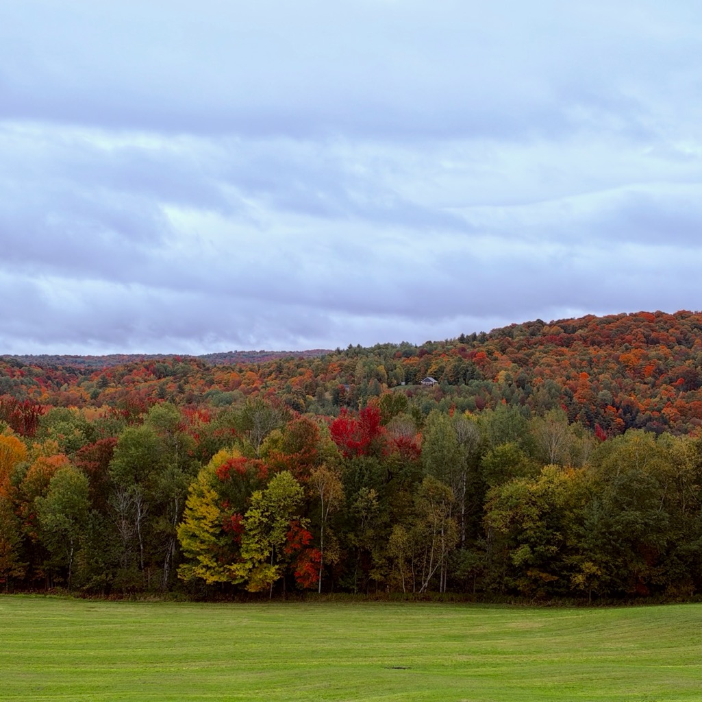 Some random spot in Vermont/
		    2860 Vt Route 105, Derby, VT 05829, USA