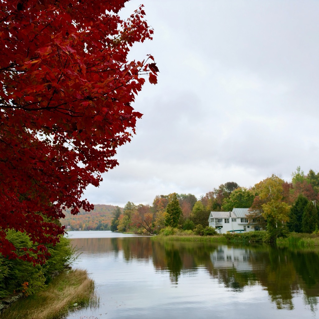 Bernard, VT/
		    55 N Rd, Bethel, VT 05032, USA