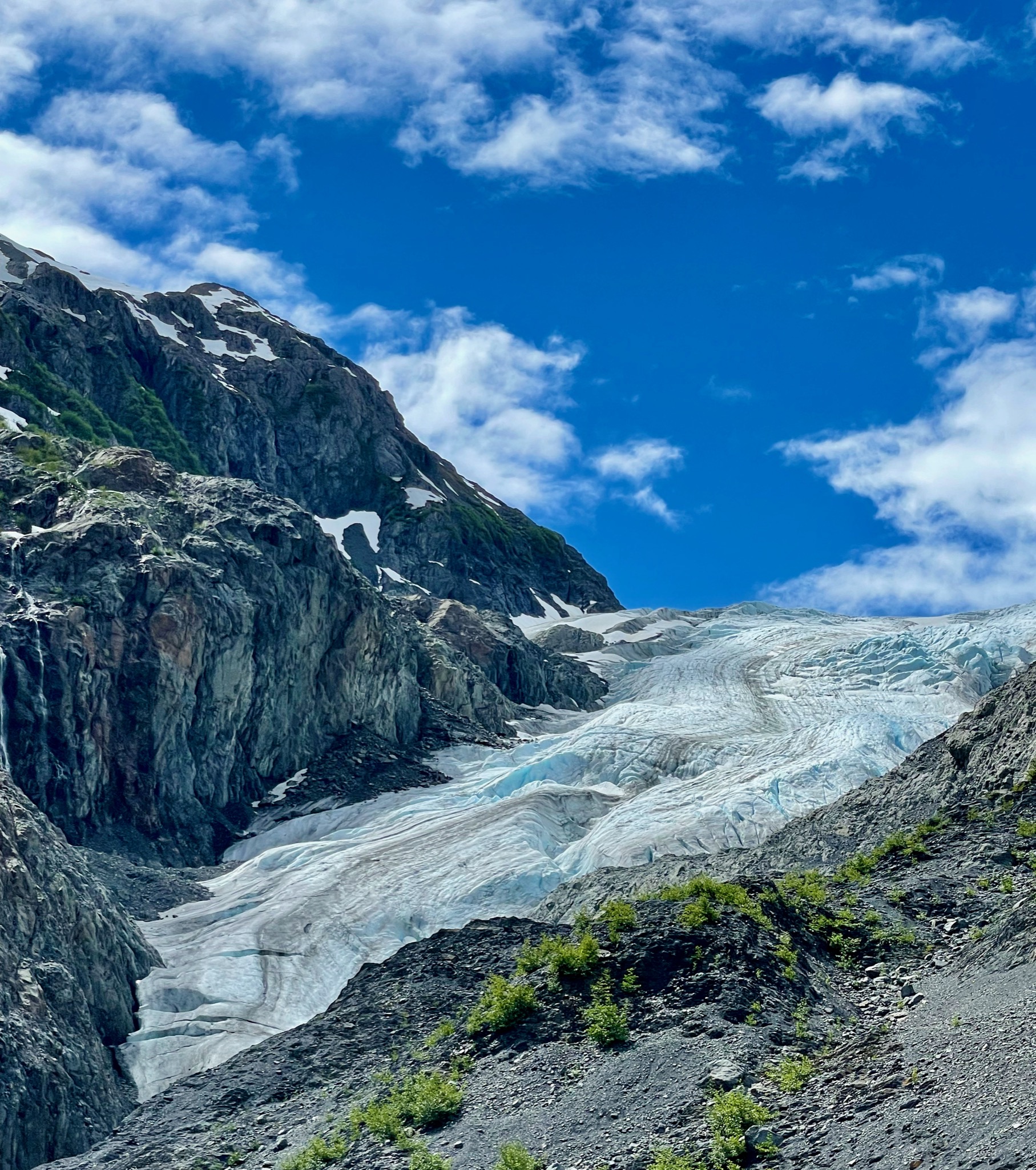 Exit Glacier, Kenai Fjord NP/