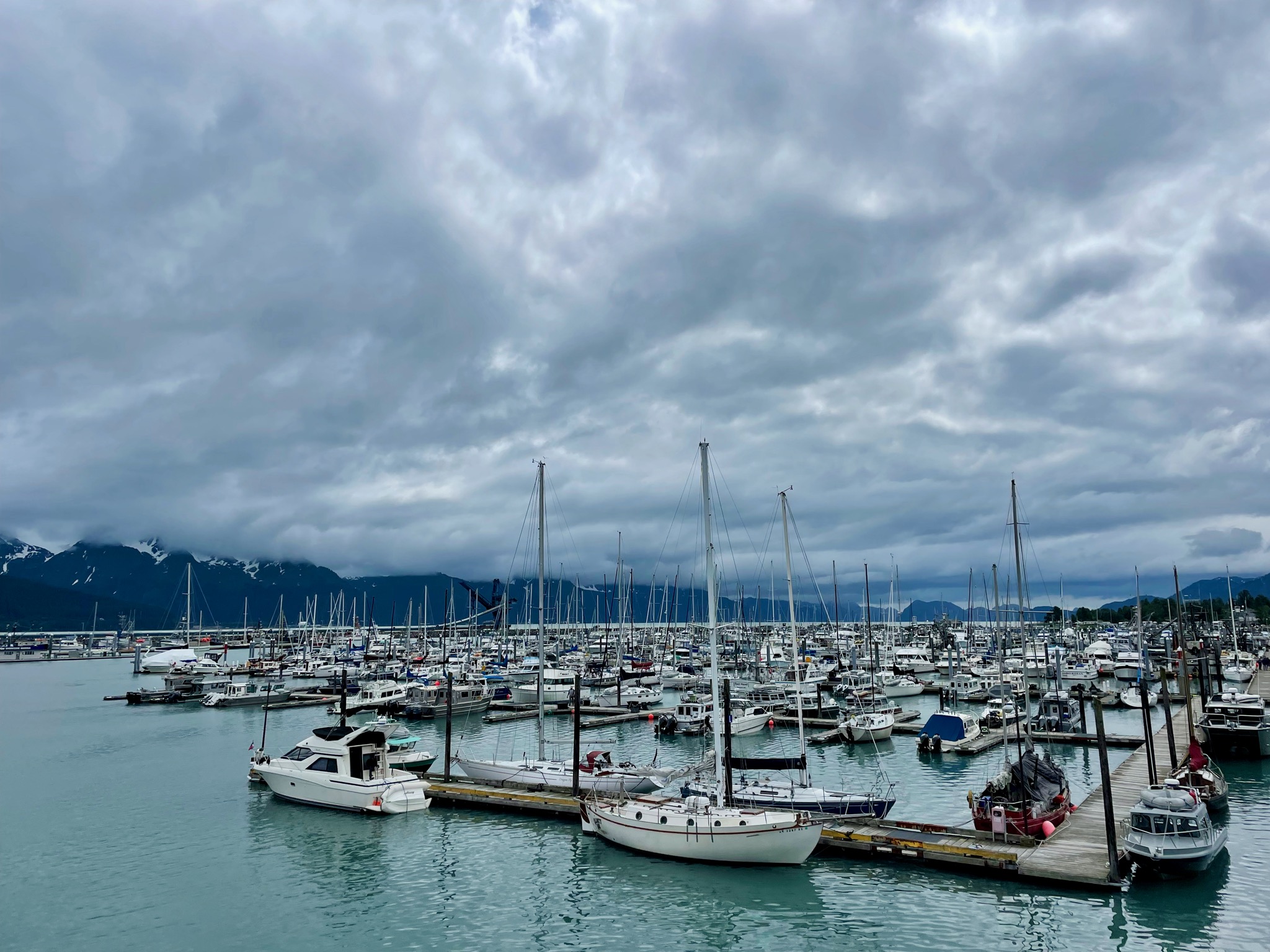 Harbor view out of our room in Seward/