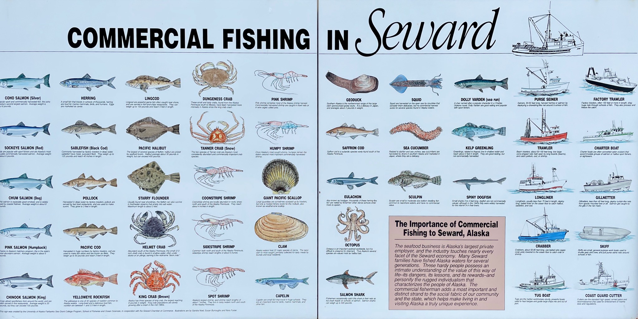 Fish glossary /