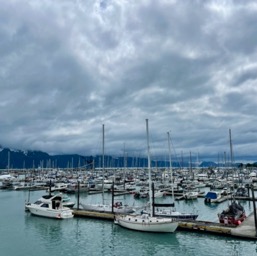 Harbor view out of our room in Seward/
		    