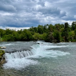 Brooks Falls! Where are the bears?/
		    