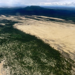 Sand dunes at Kobuk Valley NP/
		    