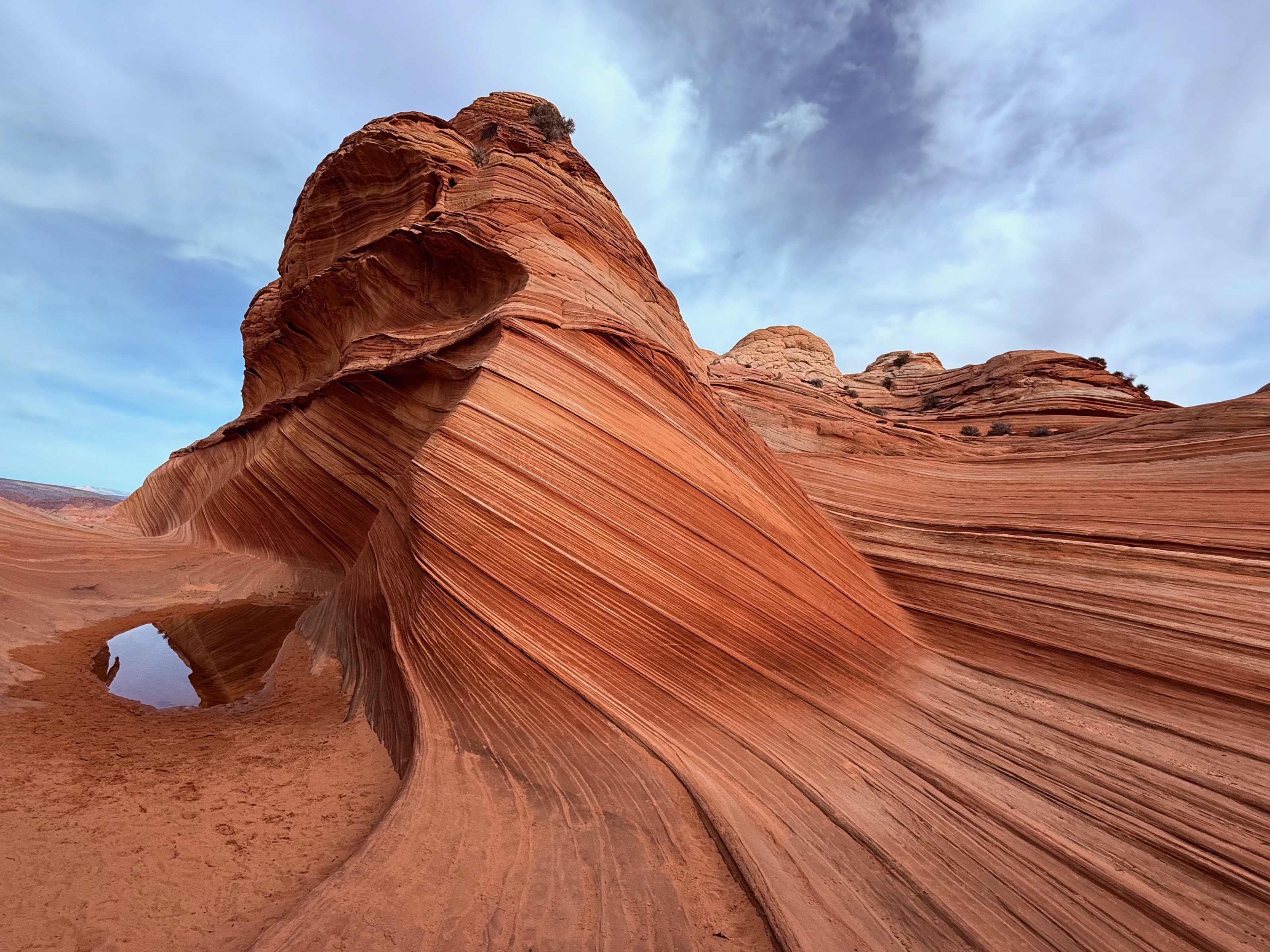 Vermilion Cliffs National Monument, AZ/