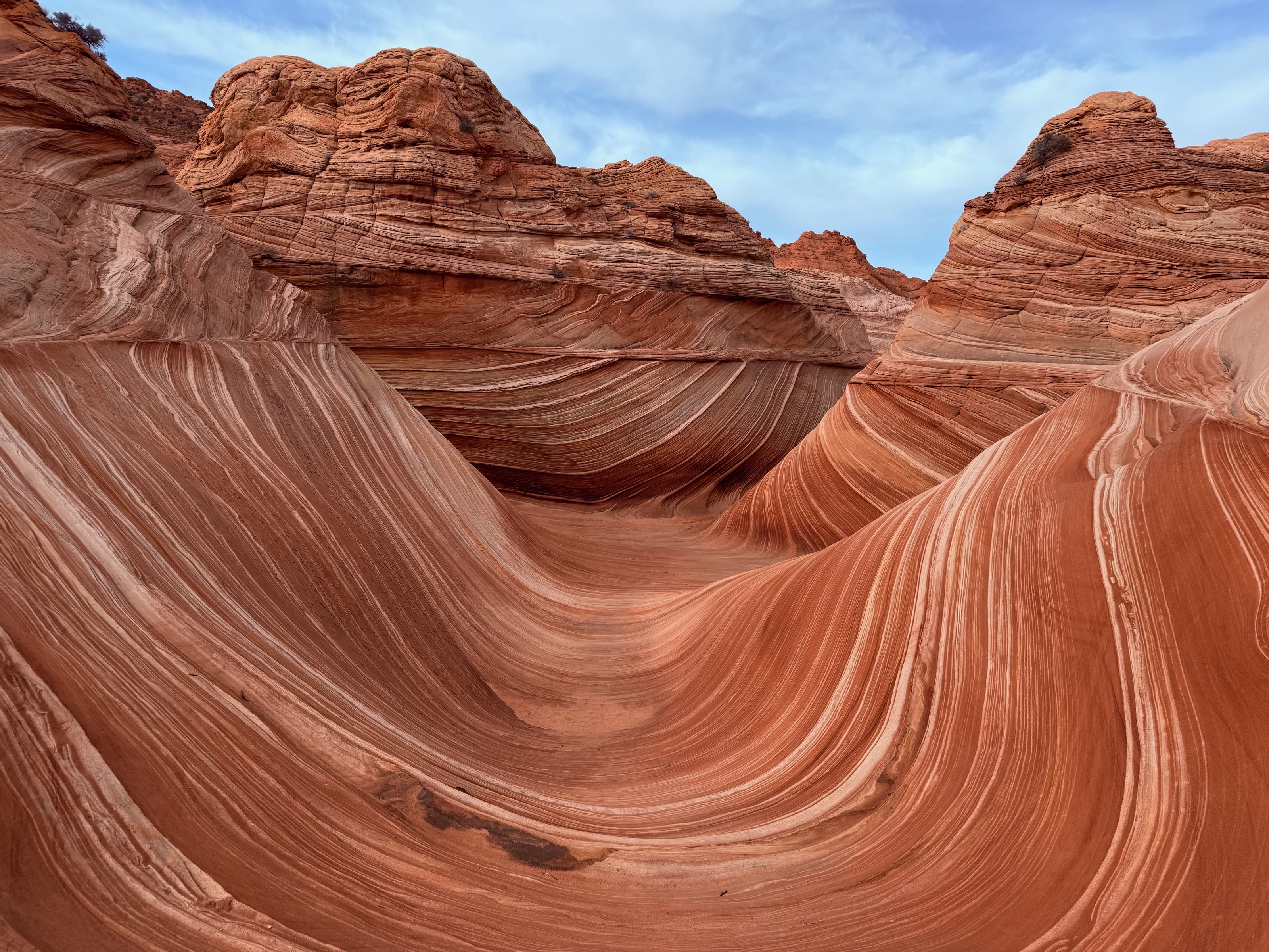 Vermilion Cliffs National Monument, AZ/