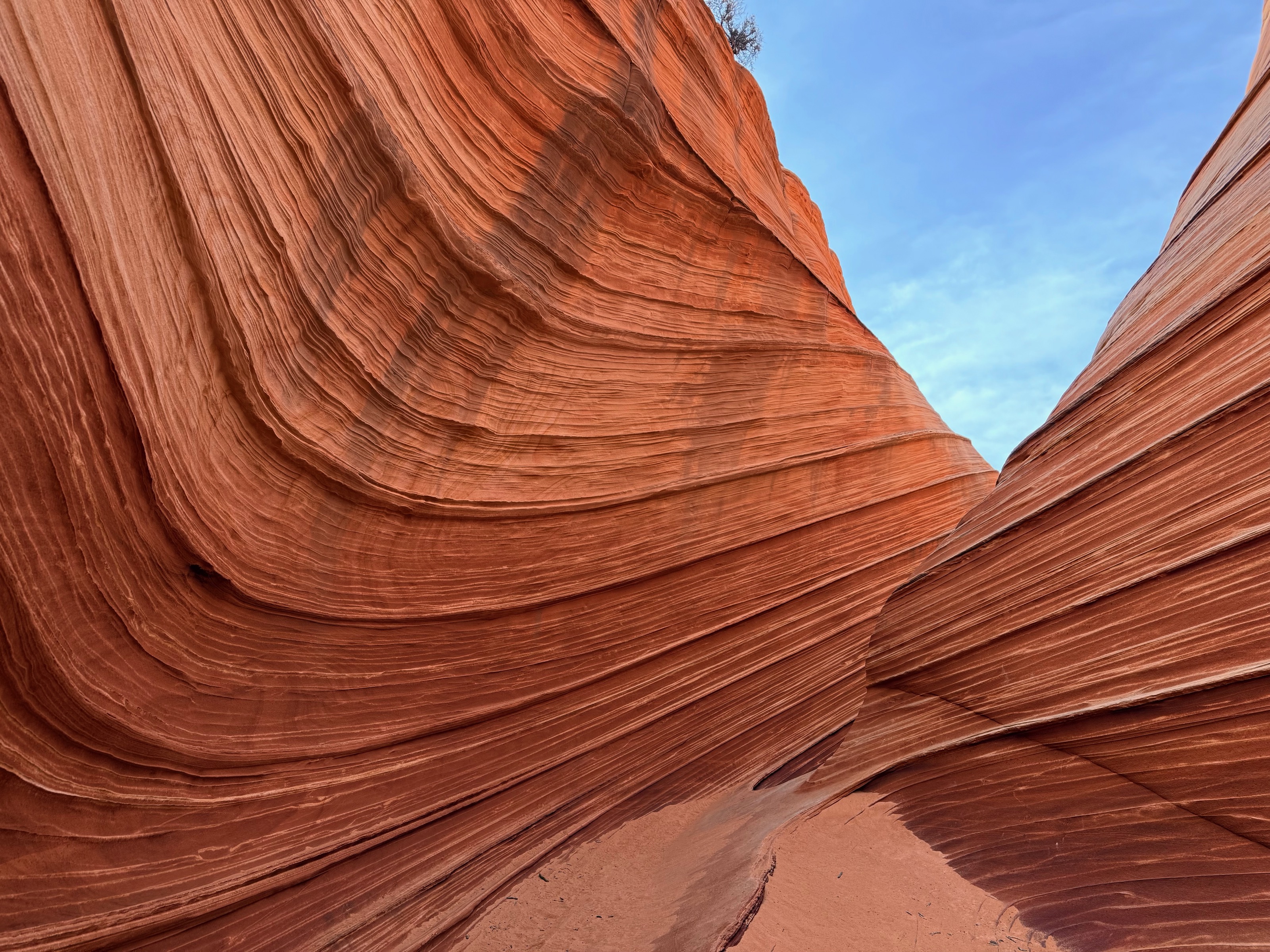 Vermilion Cliffs National Monument, AZ/