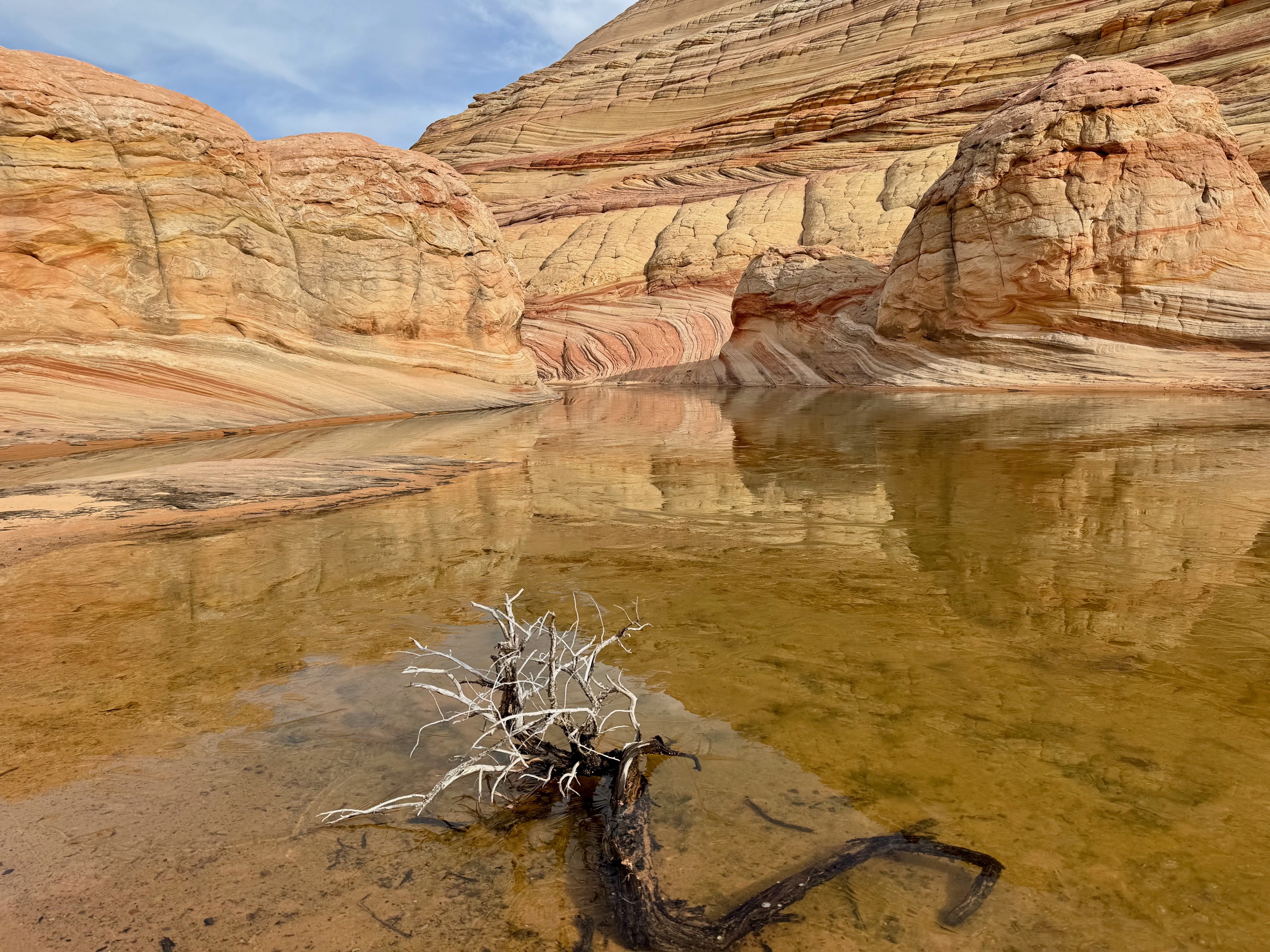 What? A lake on top of The Wave? With ice, no less!/