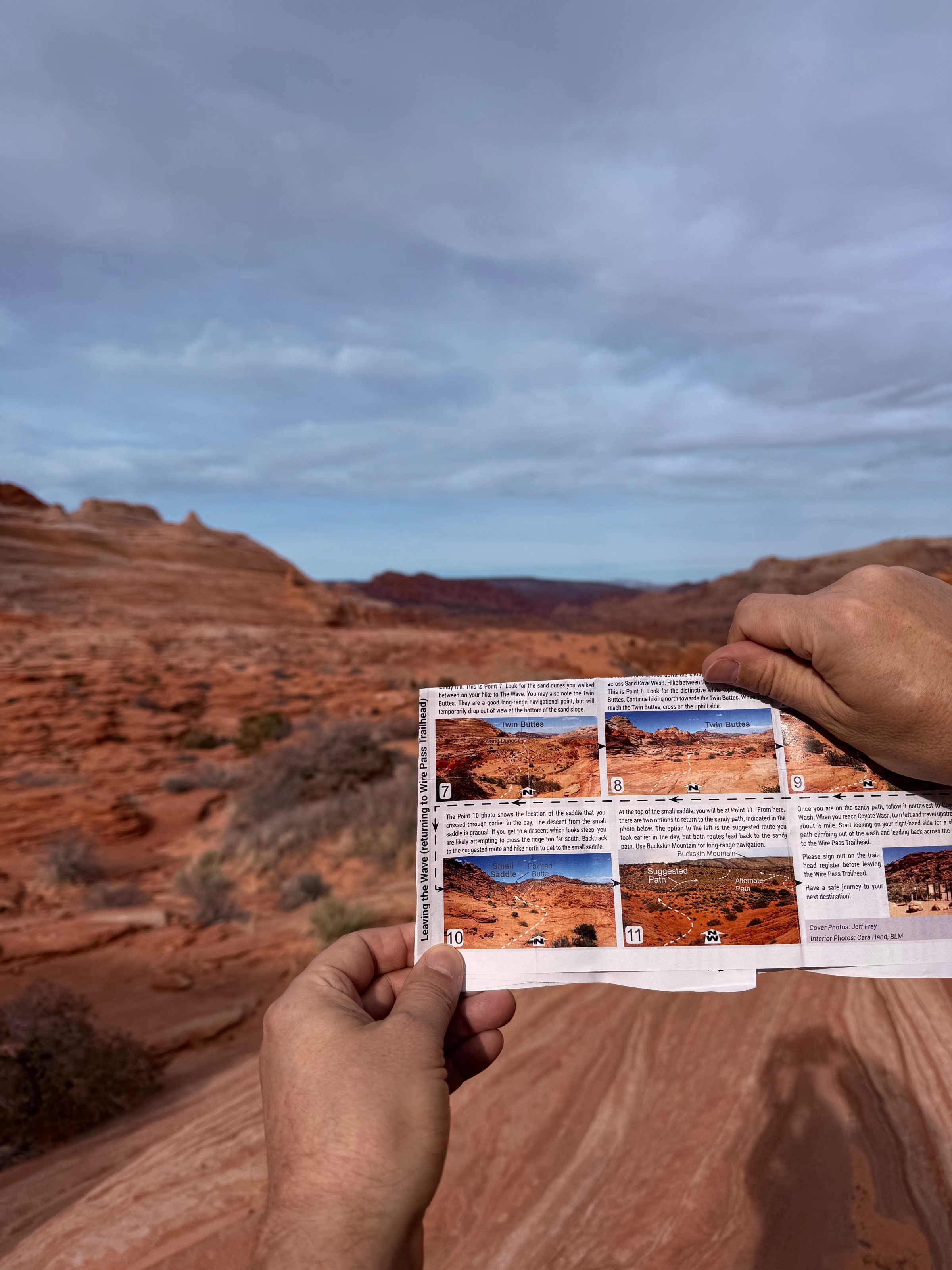 The return starts... which one?/