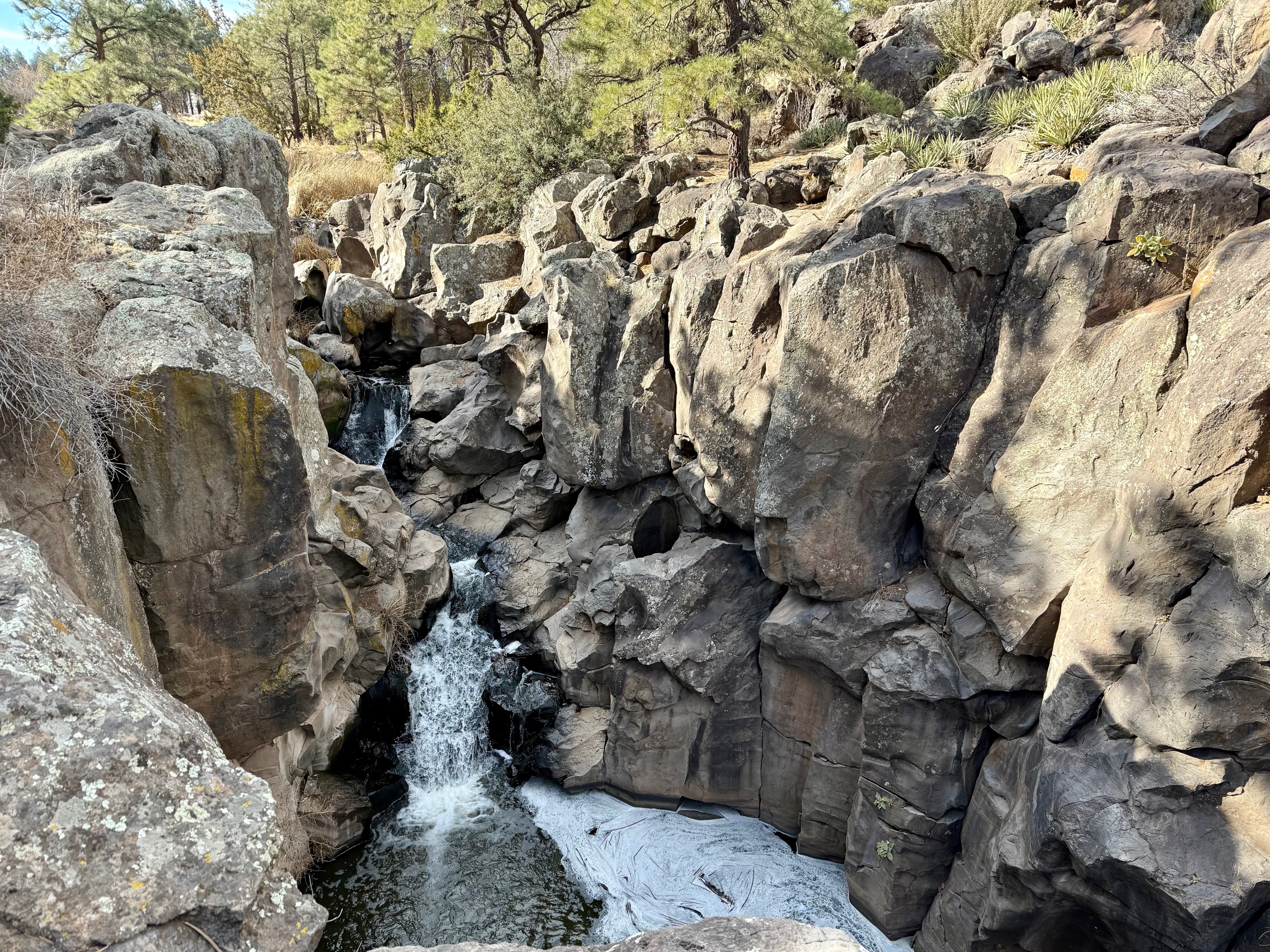 Rio de Flag - Flagstaff, AZ/Picture Canyon Natural and Cultural Preserve, 3920 N El Paso Flagstaff Rd, Flagstaff, AZ 86004, USA