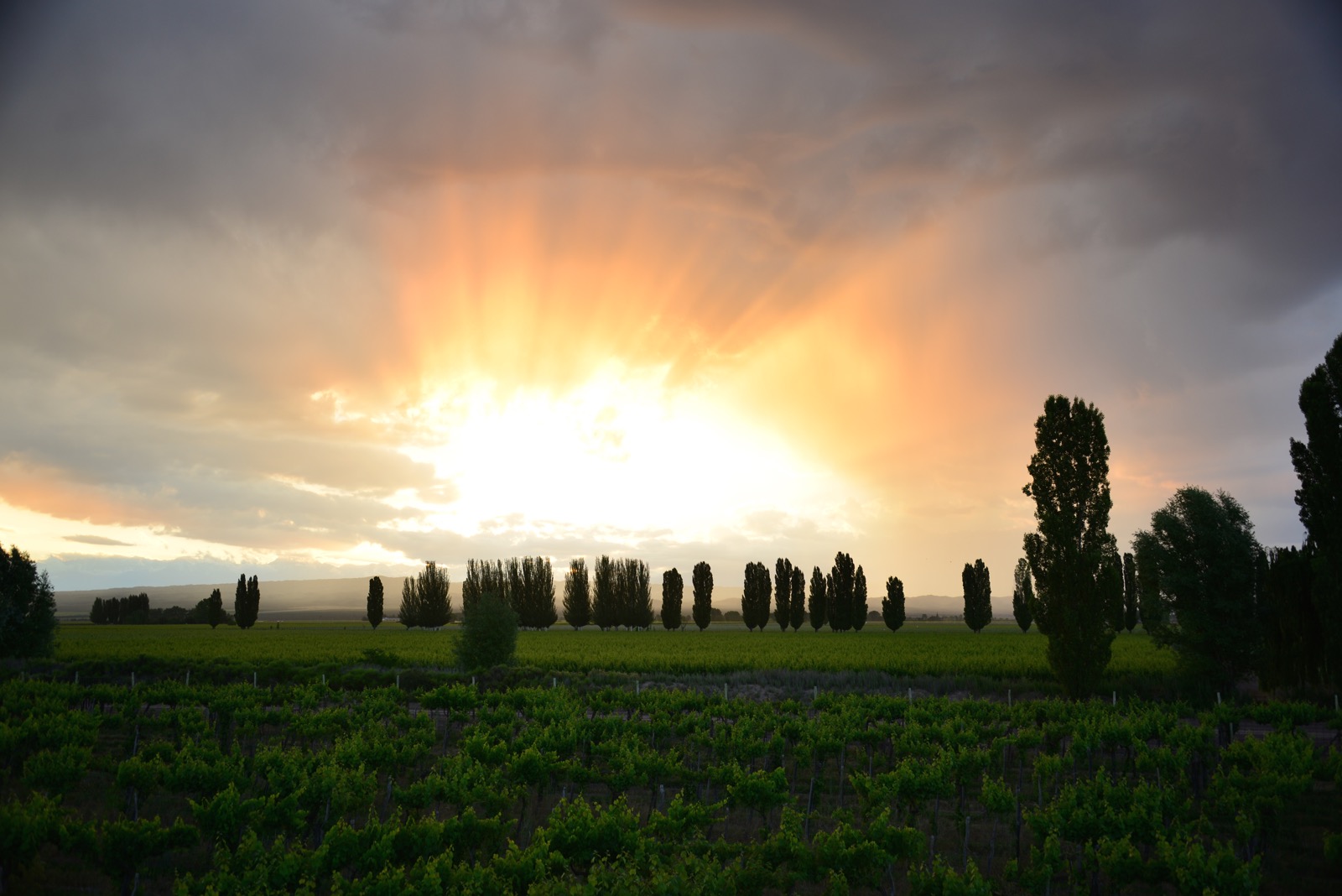 Sunset from our casita's roof deck/