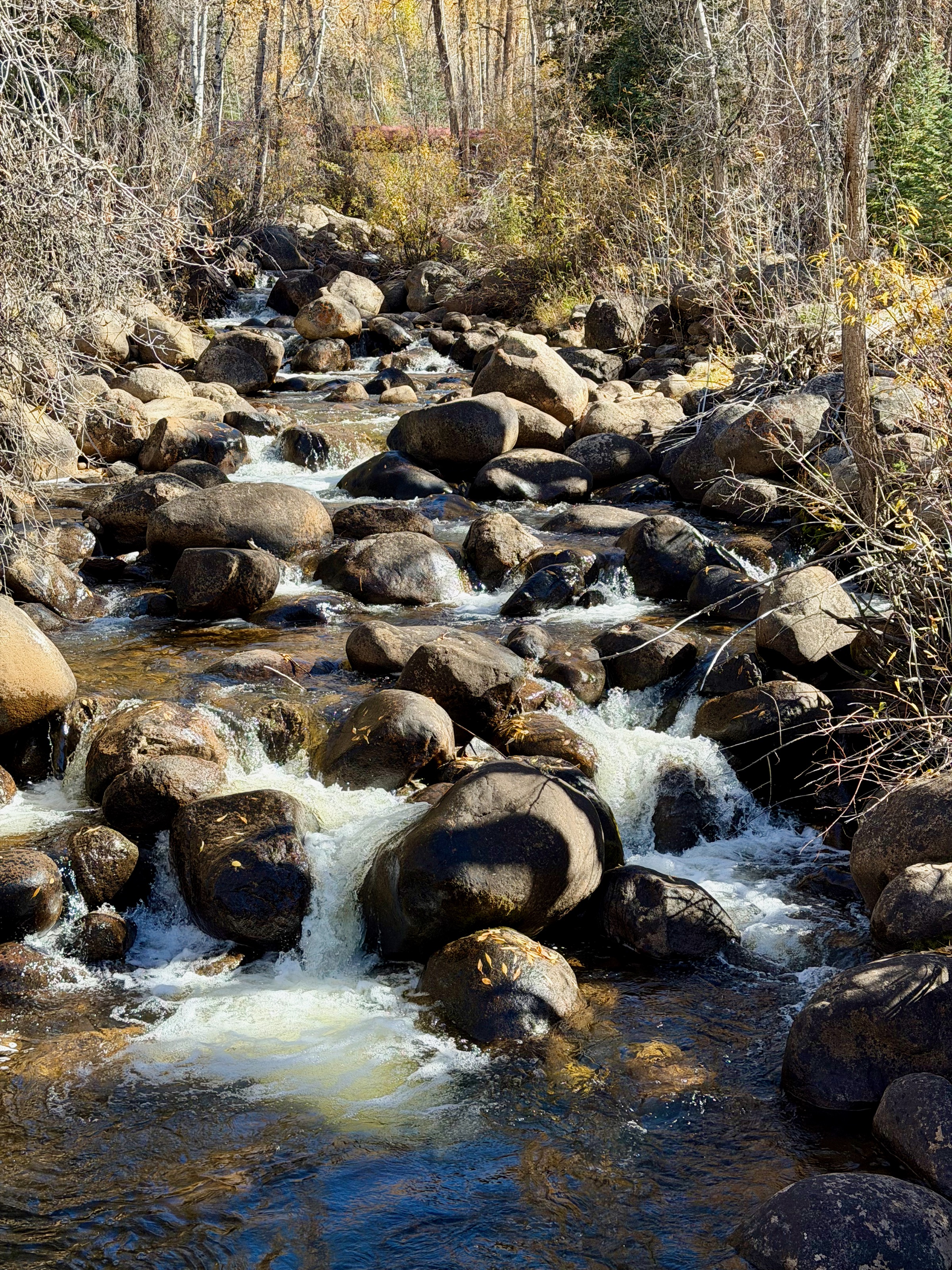 Lower Hunter Creek Trail/100 Spruce St, Aspen, CO 81611, USA