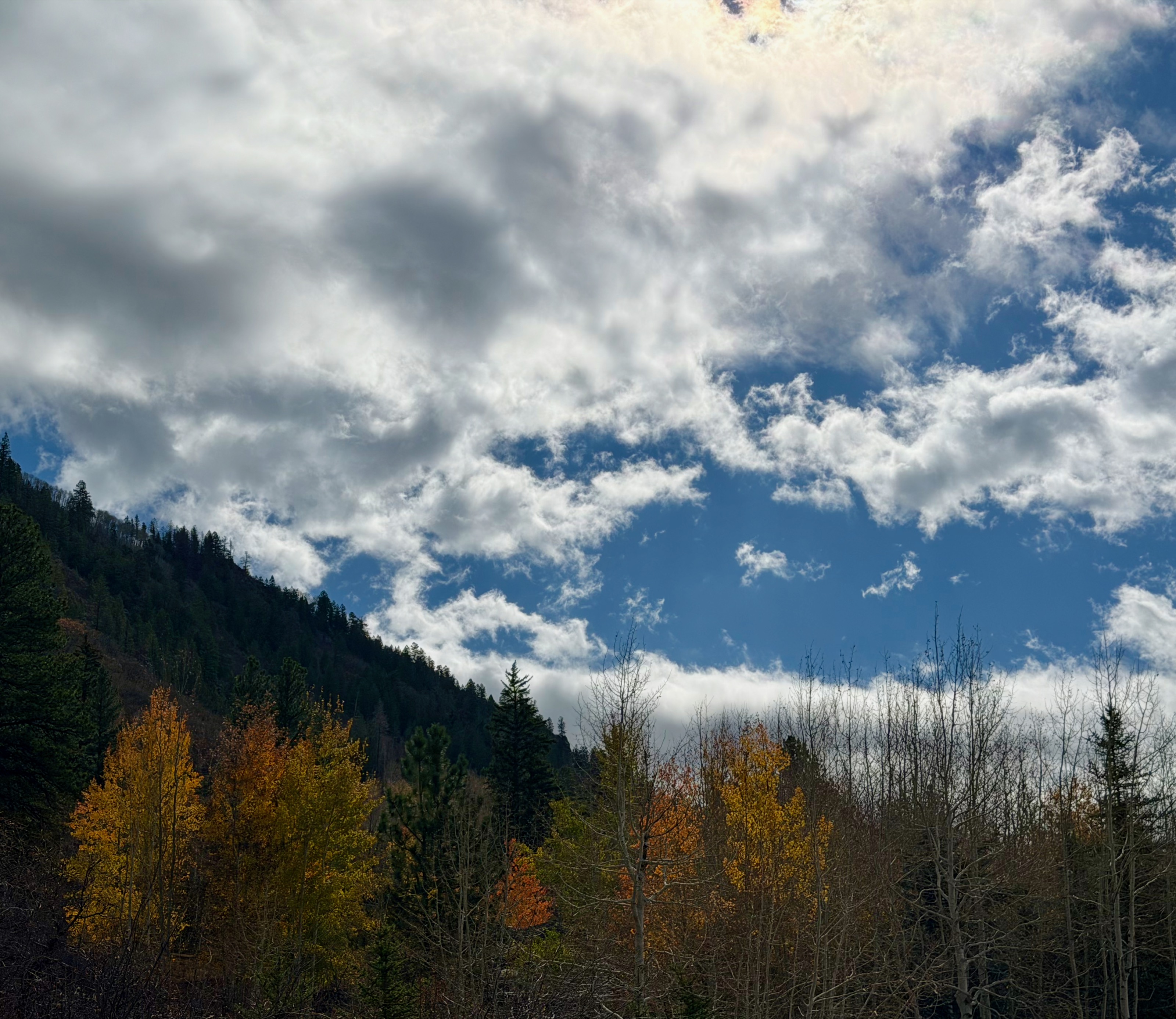 43922 CO-82, Aspen, CO 81611, USA