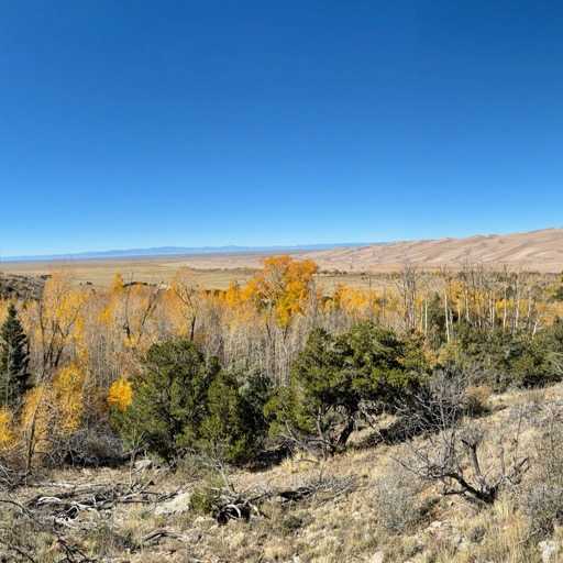 
		    11263 CO-150, Mosca, CO 81146, USA