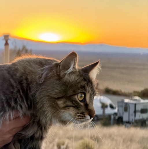 Peppermint!/
		    7900 CO-150, Mosca, CO 81146, USA