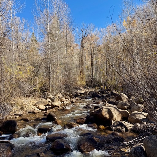 127 American Ln/
		    127 American Ln, Aspen, CO 81611, USA