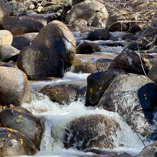 Lower Hunter Creek Trail/
		    401 Williams Way, Aspen, CO 81611, USA