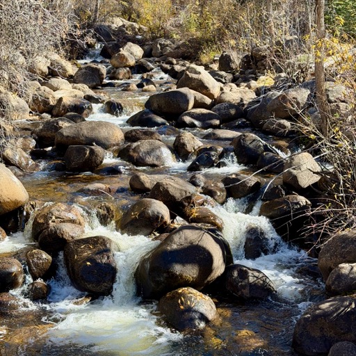 Lower Hunter Creek Trail/
		    100 Spruce St, Aspen, CO 81611, USA