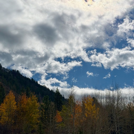 
		    43922 CO-82, Aspen, CO 81611, USA