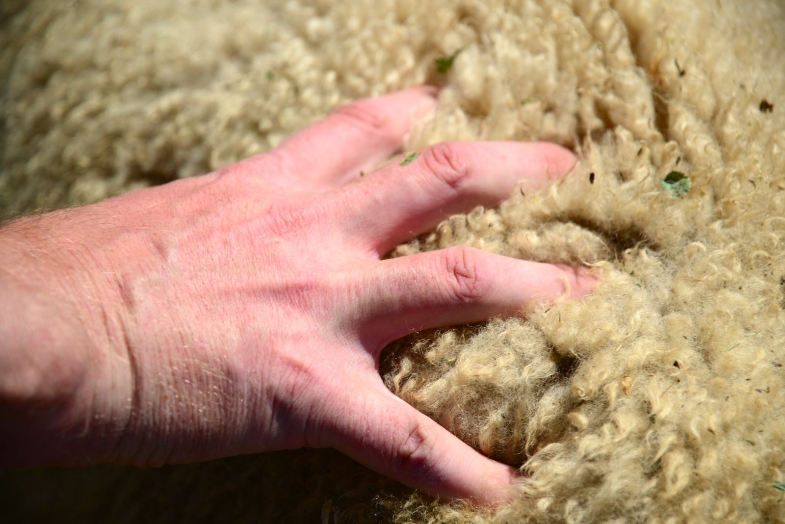 Like wearing a rug!/