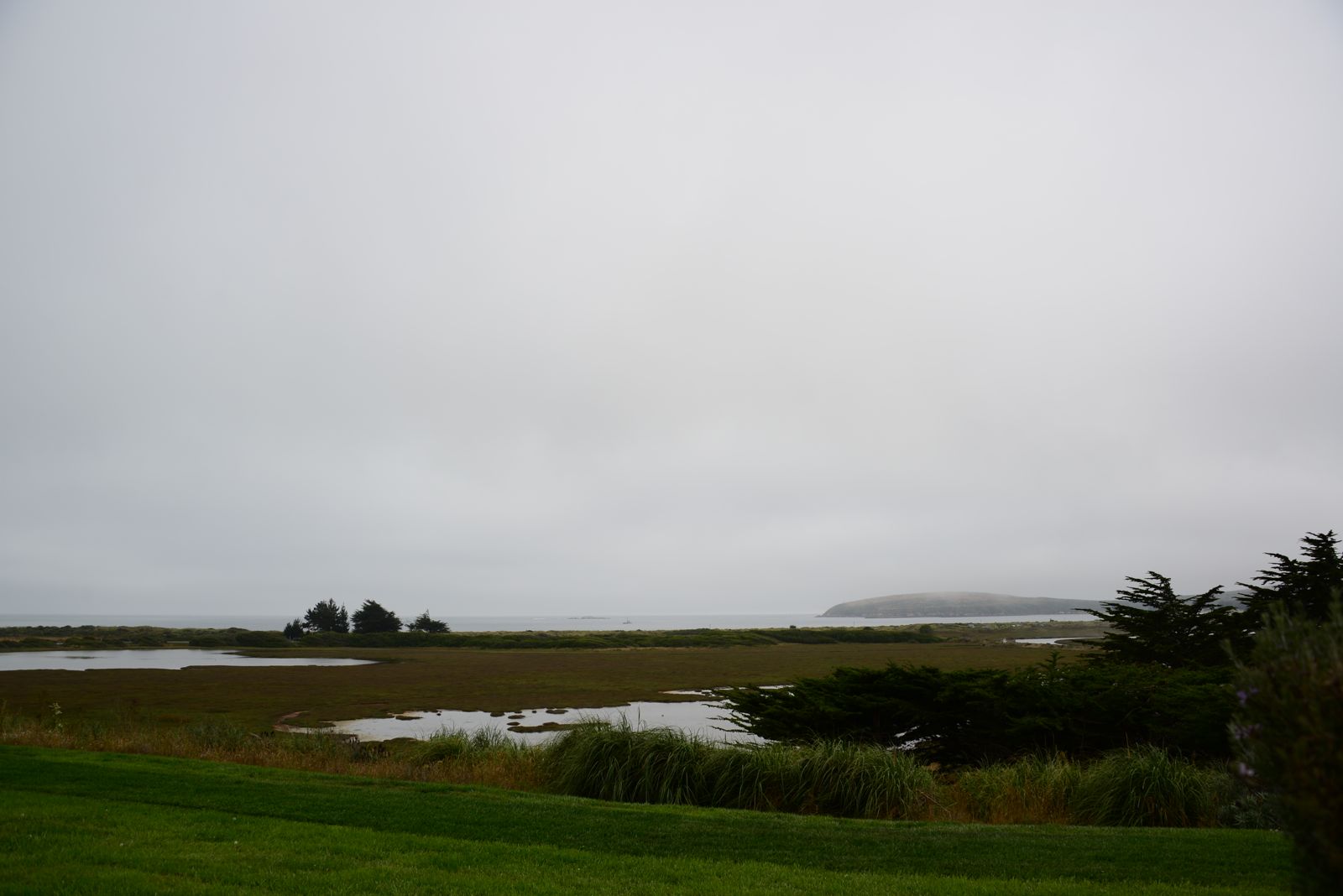 Ahh, foggy Bodega Bay/