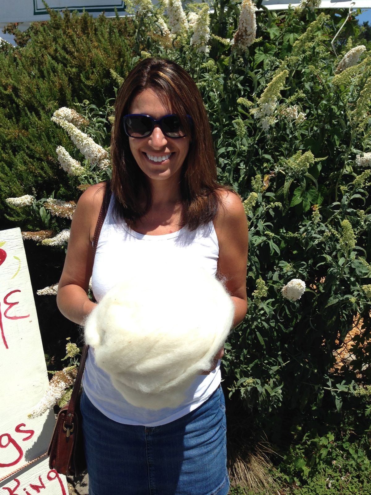 Assana and The Wool/