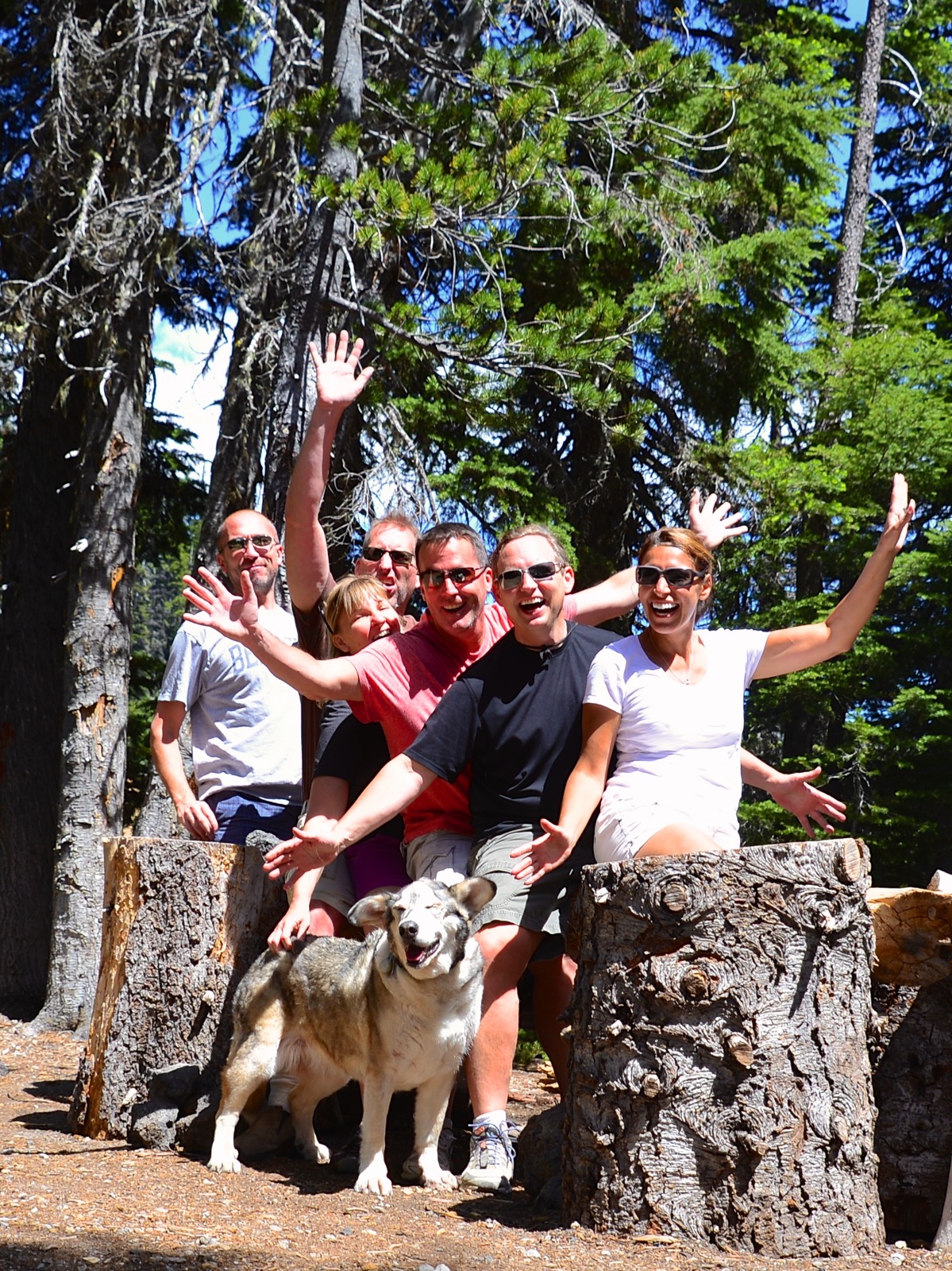 Did someone say awkward family photo?/