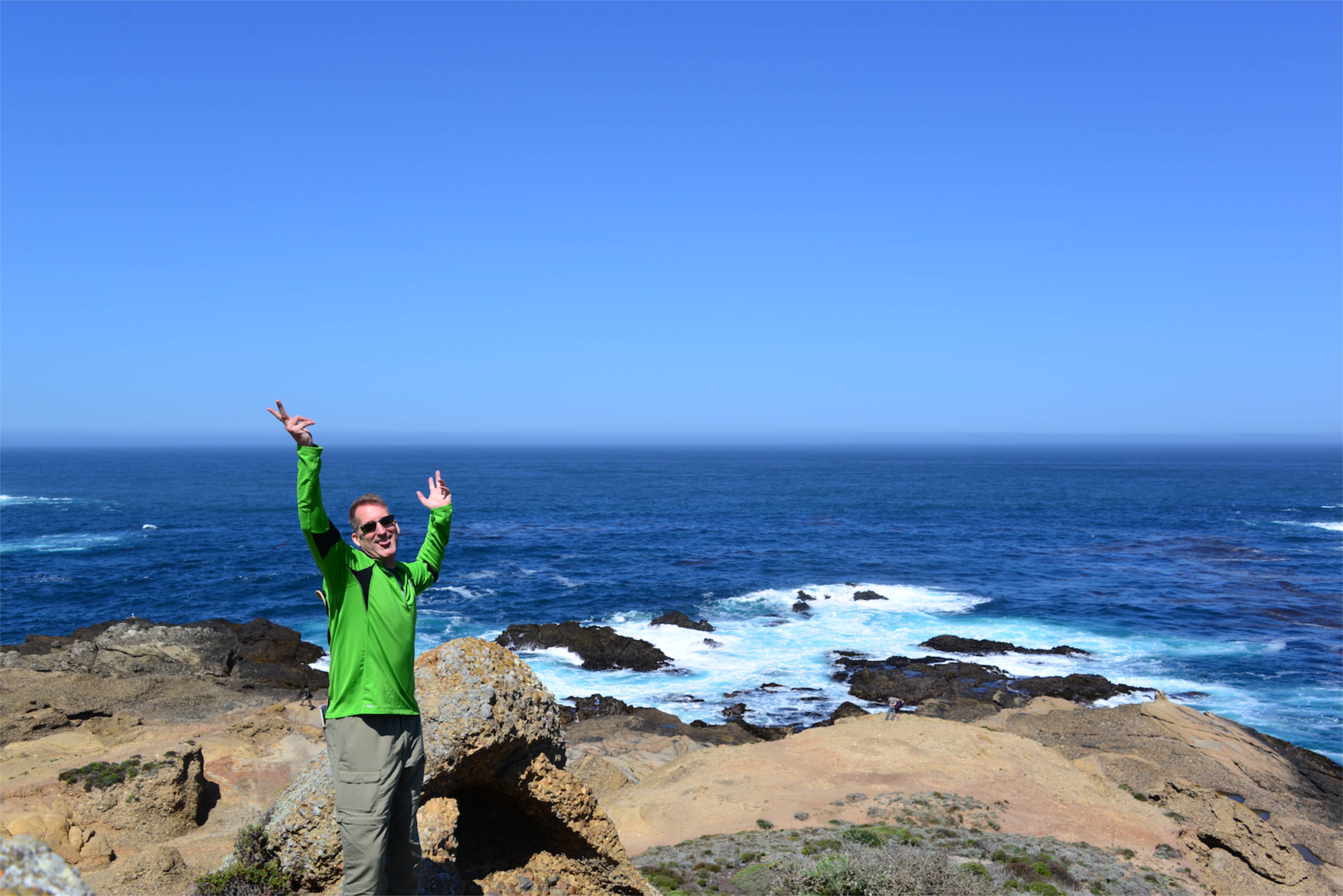 Moss covered with salt/