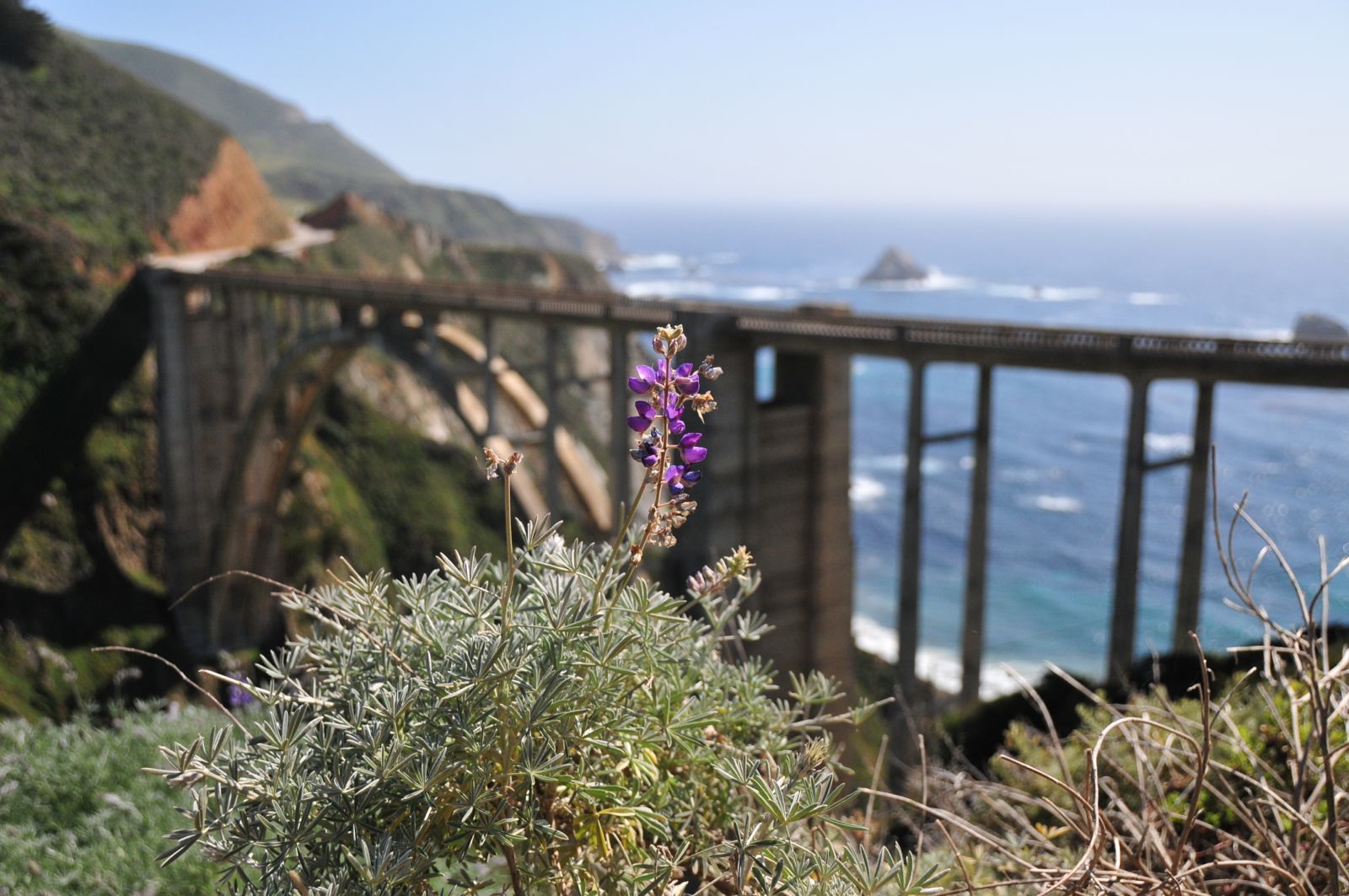 At Bixey Creek Bridge/