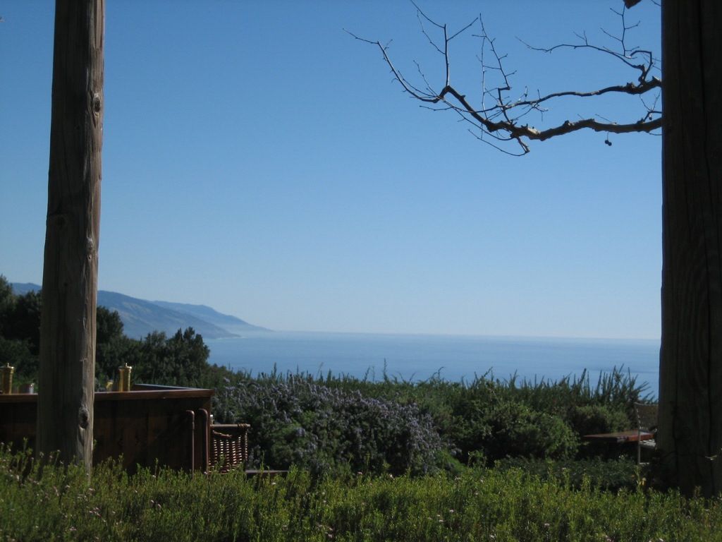 View from the patio/