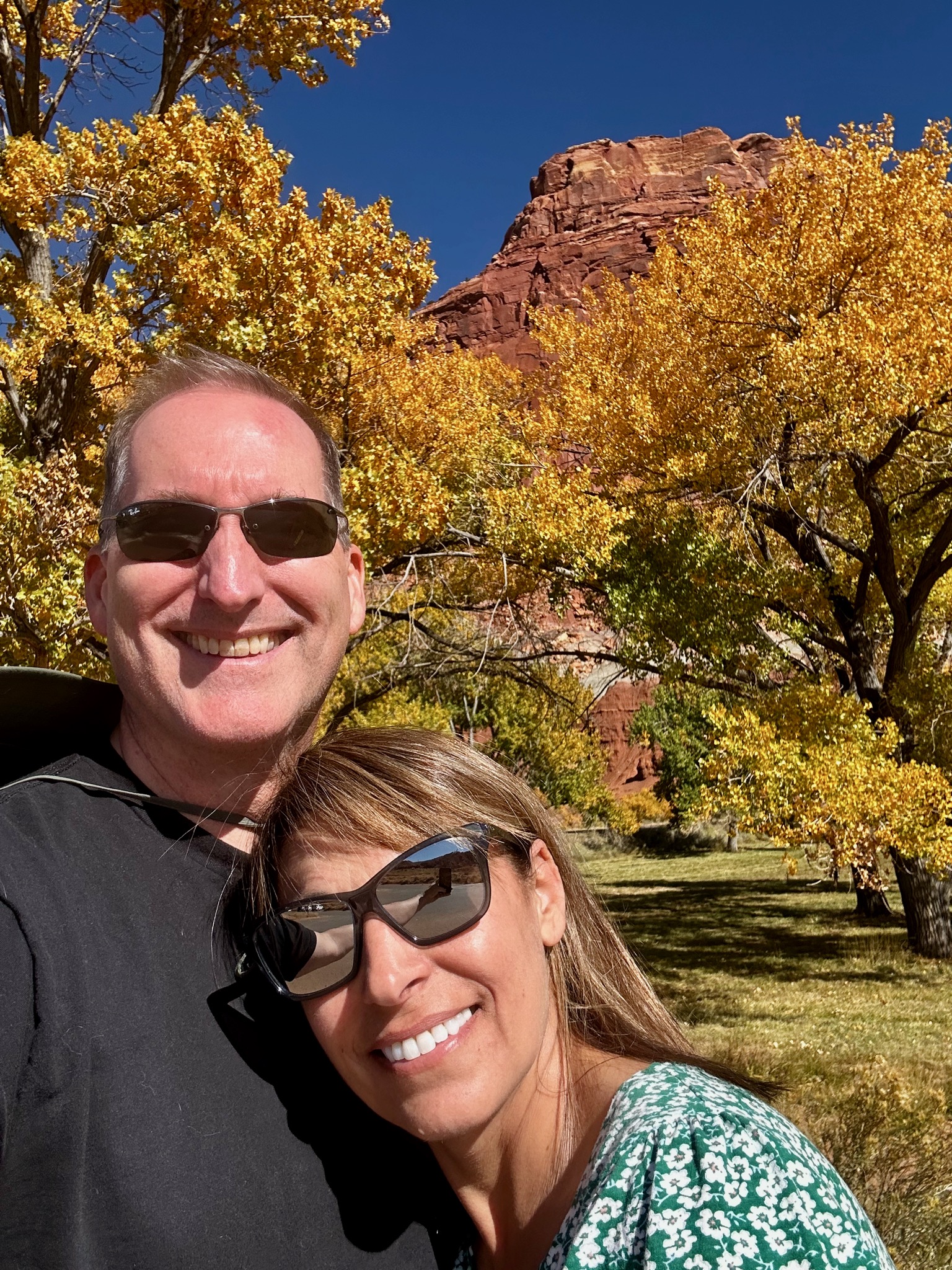 Patches of Cottonwood in La Fruita near the visitor center/16 Scenic Dr, Torrey, UT 84775, USA