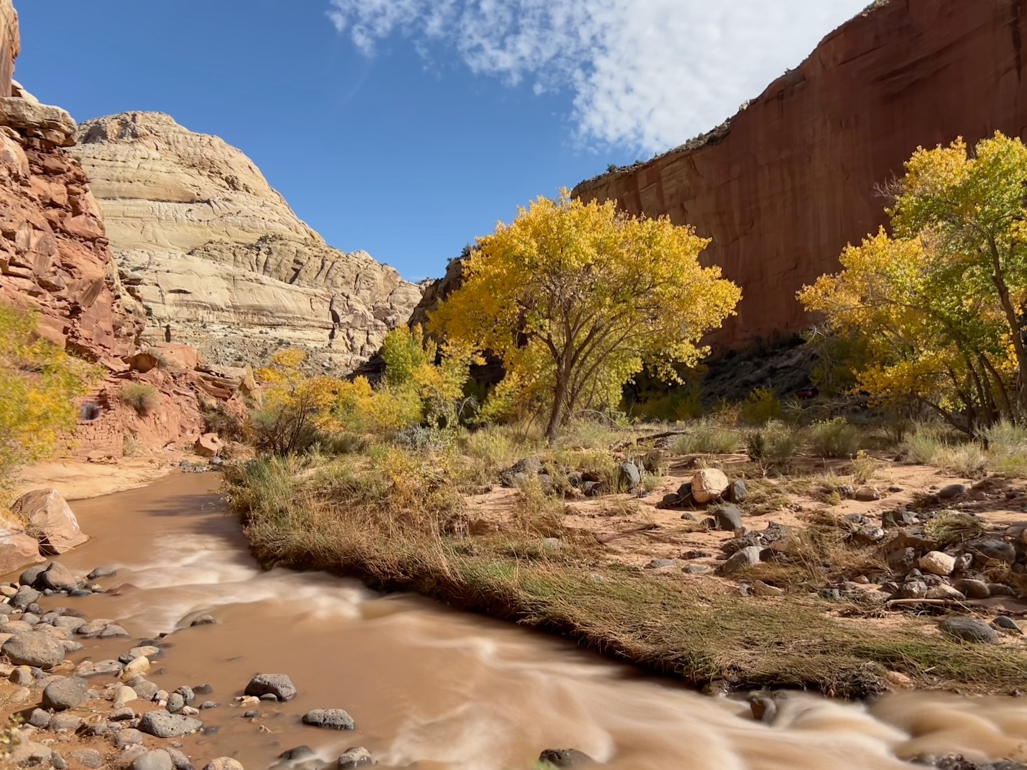 Hickman Bridge Trail/1503 UT-24, Torrey, UT 84775, USA
