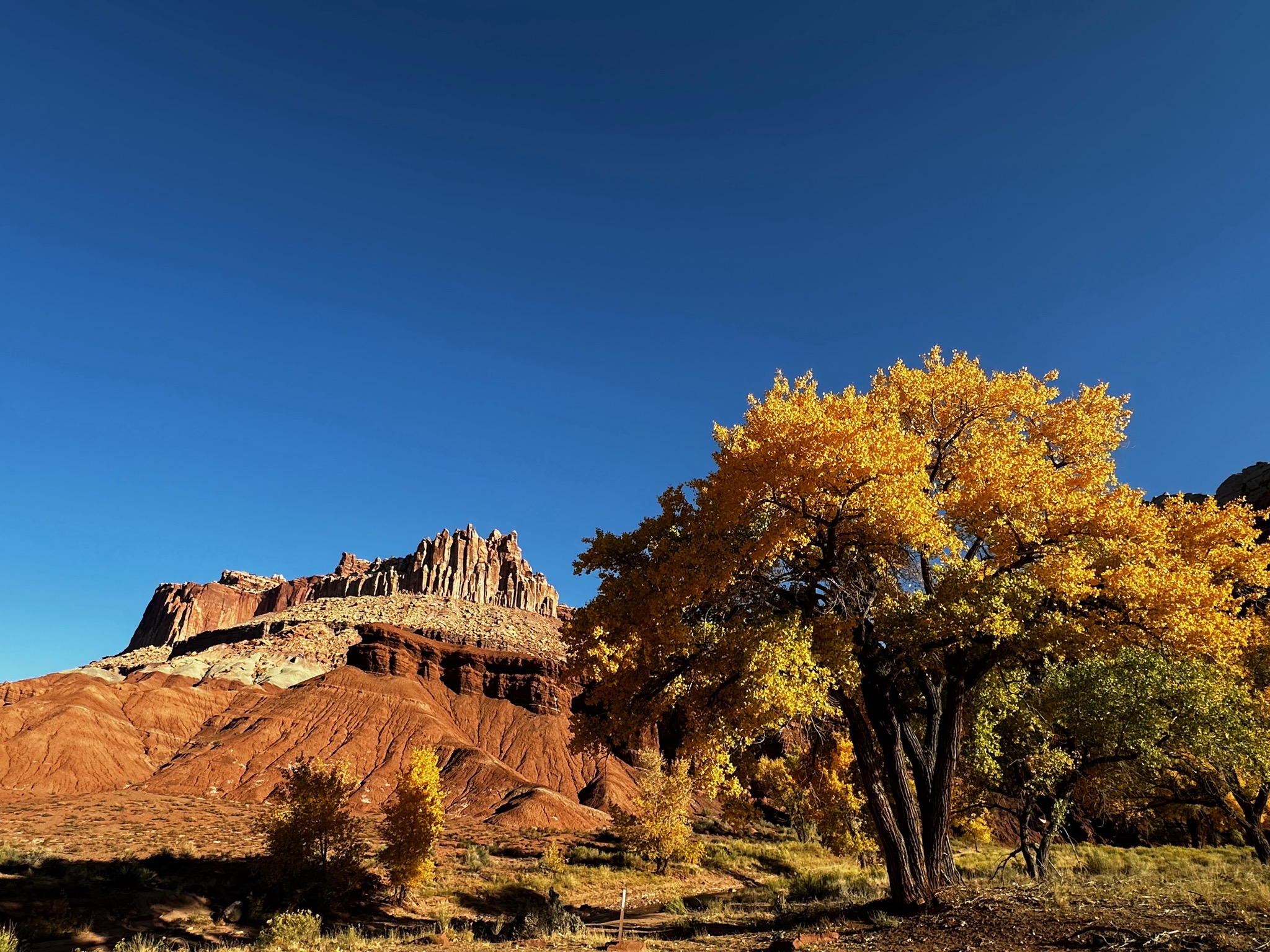 16 Scenic Dr, Torrey, UT 84775, USA