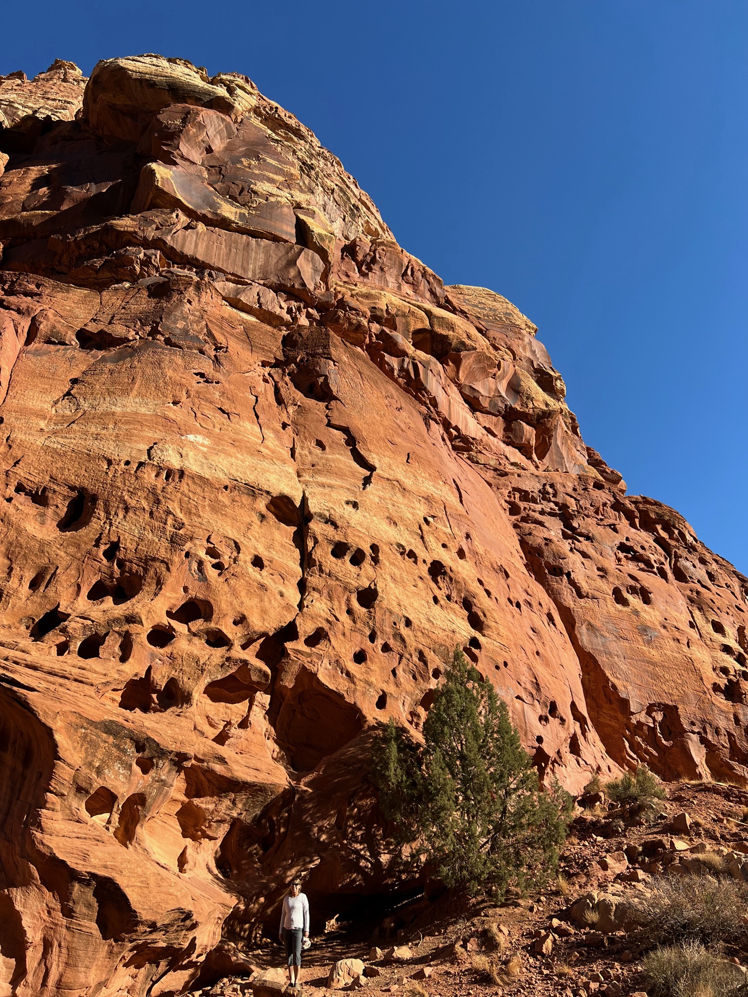 Cassidy Arch trailhead -- Assana for scale/2078 E Grand Wash Rd, Fruita, UT 84775, USA